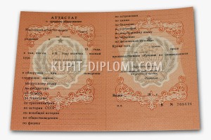 attestat-11-1994-1