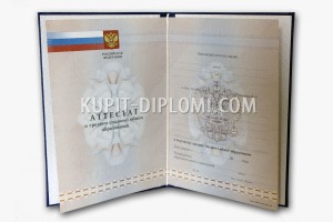 attestat-11-2010-1